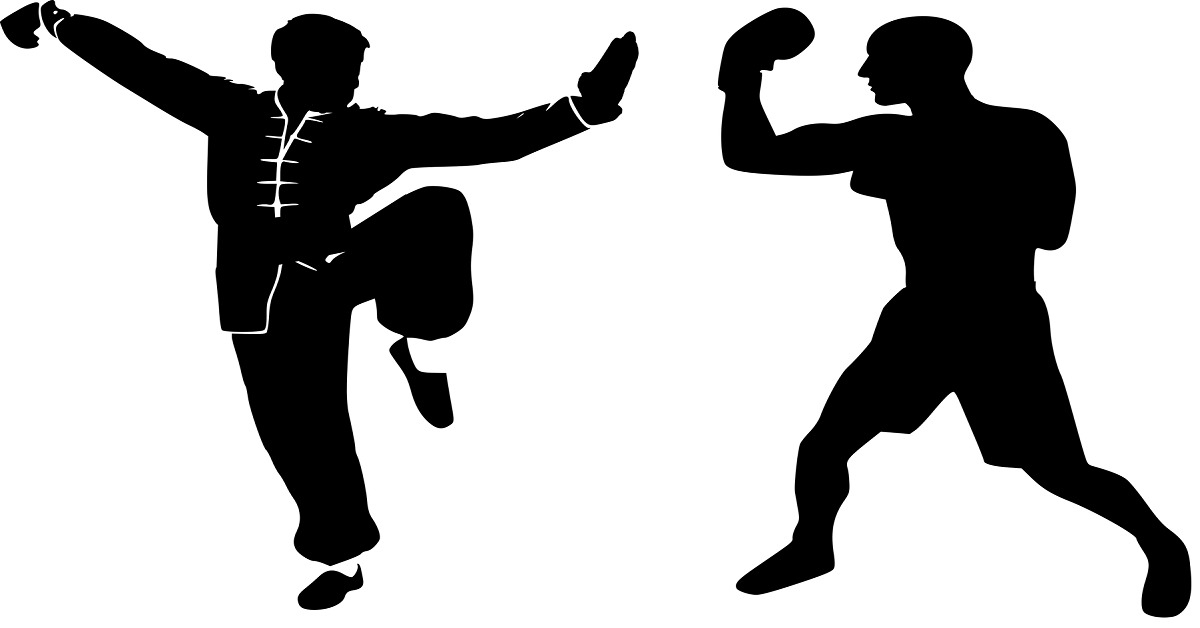 boxing vs kung fu