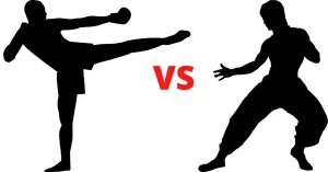 kung fu vs mma