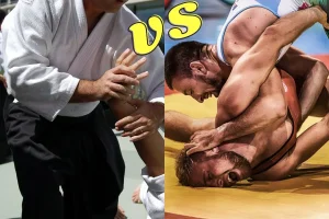 wrestling vs aikido