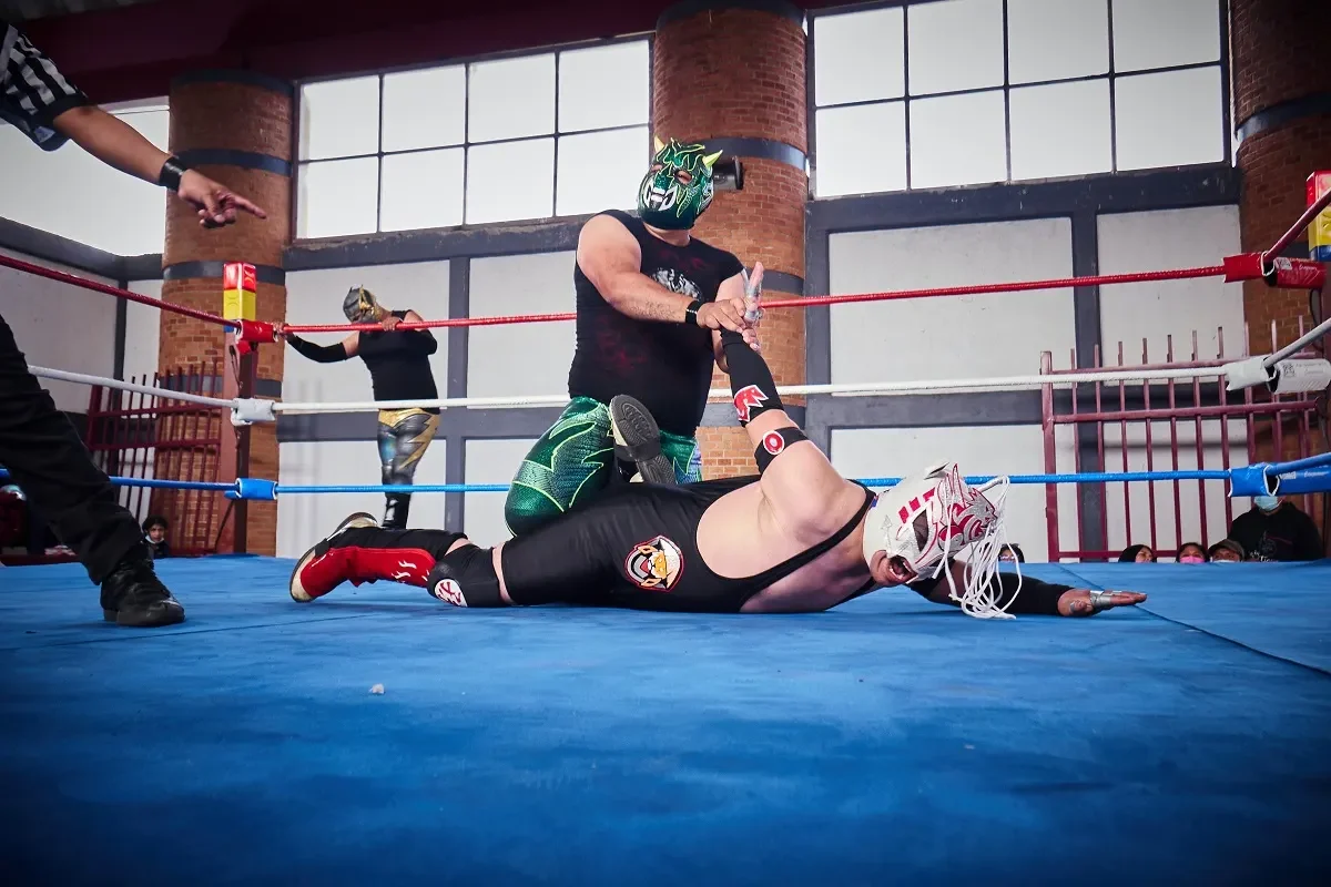 wrestling sparring session
